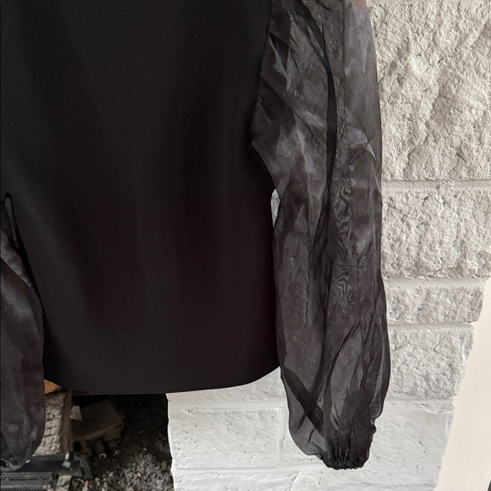 Zara Black V-Neck Top with Sheer Puff Sleeves - Picture 5 of 6